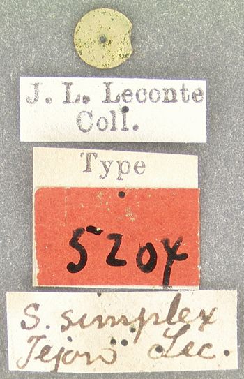 Media type: image;   Entomology 5204 Aspect: labels